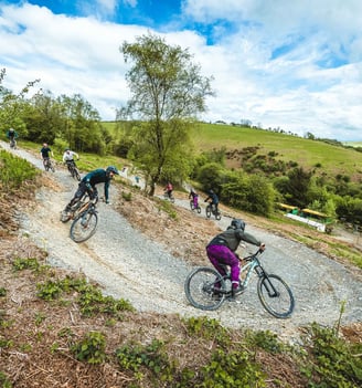 a group of people riding mountain bikes on a trail