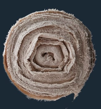 kanvas natural signifo