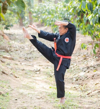 Hanshi Tetsuo Takamiyagi performing karate