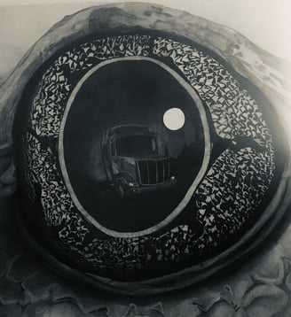 Oeil de grenouille