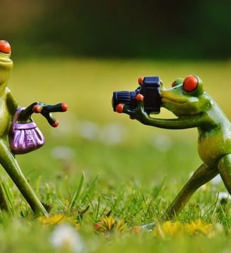 frogs-photography-princess-funny-comedy-hilarious-laugh-fun-dilsebatein-09