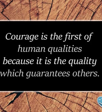 courage-is-the-first-step-of-human-qualities-because-inspirational-quotes-dilsebatein-12