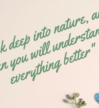 look-deep-into-nature-and-then-you-will-understand-everything-inspirational-quotes-dilsebatein-16