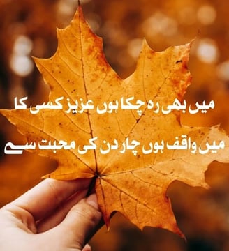 mein-bhi-reh-chuka-houn-aziz-ksi-ka-mein-waqif-houn-char-urdu-inspirational-quotes-dilsebatein-10