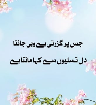 jis-par-guzarti-hai-wohi-janta-hai-dil-tasaleon-se-kahan-urdu-inspirational-quotes-dilsebatein-11