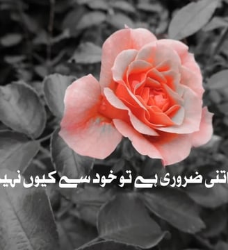 muhabat-agar-itni-zarori-hai-tu-khud-se-kuon-nahe-kartey-urdu-inspirational-quotes-dilsebatein-15