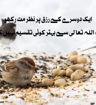 aik-dosrey-ke-rizq-par-nazar-mat-rakho-kuon-key-allah-se-urdu-inspirational-quotes-dilsebatein-21