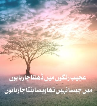 ajeeb-rungon-mein-dhalta-ja-raha-houn-mein-jaisa-nahe-tha-urdu-inspirational-quotes-dilsebatein-26