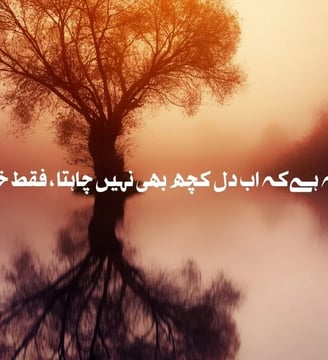 ikhtataam-yeh-hai-ke-abh-dil-kuch-bhi-nahe-chahta-faqat-urdu-inspirational-quotes-dilsebatein-29