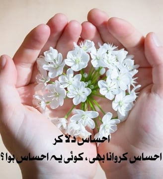 ehsas-dila-kar-ehsas-karwana-bhi-koi-yeh-ehsas-huwa-urdu-inspirational-quotes-dilsebatein-35