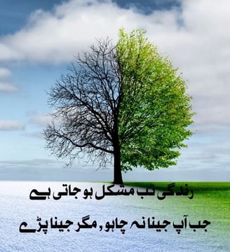 zindagi-tab-mushkil-ho-jati-hai-jab-aap-jeena-na-chaho-urdu-inspirational-quotes-dilsebatein-36