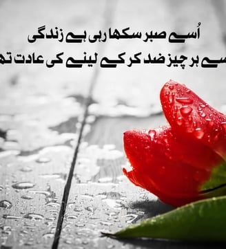 usey-sabr-sikha-rahi-hai-zindagi-jisey-har-cheiz-zid-kar-ke-urdu-inspirational-quotes-dilsebatein-49