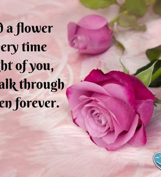 if-i-had-a-flower-for-every-time-i-thought-of-you-i-could-walk-through-my-love-quotes-dilsebatein-25