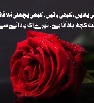 kabhi-yaadein-kabhi-batein-kabhi-pechli-mulaqatein-bohat-kuch-yaad-urdu-love-quotes-dilsebatein-03