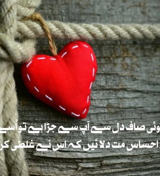 koi-saaf-dil-se-aap-se-jura-hai-tu-usey-yeh-ehsas-mat-delaein-keh-is-urdu-love-quotes-dilsebatein-04