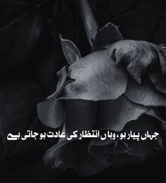 jahan-payar-ho-wahan-intezar-ki-aadat-ho-jati-hai-urdu-love-quotes-dilsebatein-06