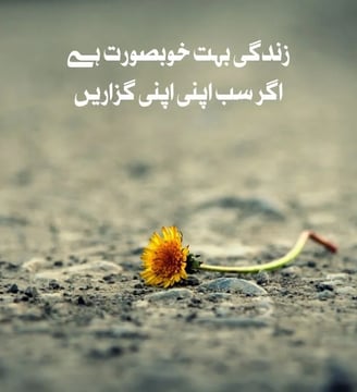 zindagi-bohat-khobsurat-hai-agar-sab-apni-apni-guzarein-urdu-love-quotes-dilsebatein-18