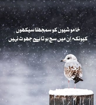 khamoshion-ko-samajhna-sekho-kuon-ke-in-mein-sach-hota-hai-jhot-nahe-urdu-love-quotes-dilsebatein-22