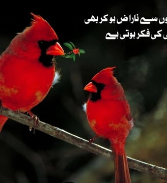 kuch-logon-se-naraz-ho-kar-bhi-unhi-ki-fiqar-hoti-hai-urdu-love-quotes-dilsebatein-40