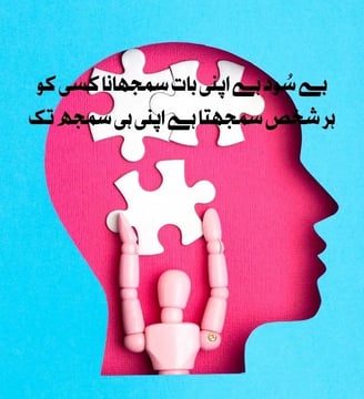 be-sood-hai-apni-baat-samjhana-kisi-ko-har-shaks-samjhata-hai-apni-urdu-love-quotes-dilsebatein-47