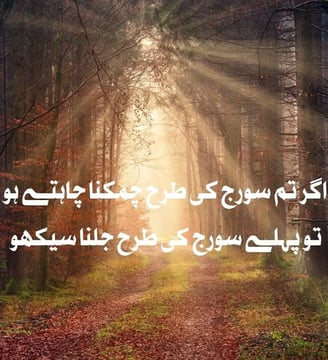 agar-tum-suraj-ki-tarha-chamakna-chahtey-ho-tu-pehle-suraj-urdu-motivational-quotes-dilsebatein-10