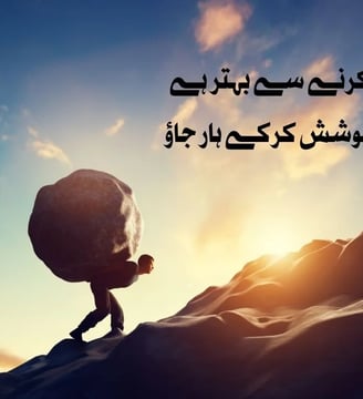 pachtawa-karney-se-behtar-hai-ke-aap-koshish-kar-ke-har-jao-motivational-quotes-urdu-dilsebatein-13