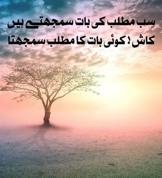 sab-matlab-ki-baat-samjhtey-hein-kash-koi-baat-ka-matlab-motivational-quotes-urdu-dilsebatein-20