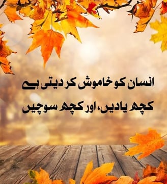 insan-ko-khamosh-kar-deti-hai-kuch-yadein-aur-kuch-sochein-urdu-motivational-quotes-dilsebatein-23