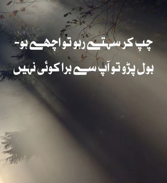 chup-kar-sehtey-raho-tu-ache-ho-bol-paro-tu-aap-se-bura-koi-urdu-motivational-quotes-dilsebatein-27