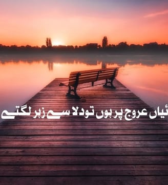 tanhaian-urooj-par-houn-tu-dilasey-zehar-lagtey-hein-urdu-motivational-quotes-dilsebatein-33