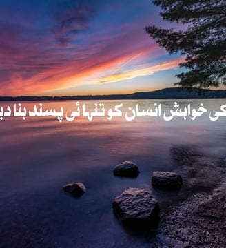 sakoon-ki-khawaish-insaan-ko-tanhai-pasand-bana-deti-hai-urdu-motivational-quotes-dilsebatein-41