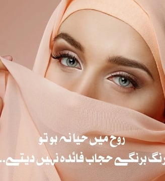 rooh-mein-haya-naho-tu-rung-barangey-hijab-faida-nahe-dete-urdu-motivational-quotes-dilsebatein-43