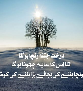 darakht-jitna-oncha-ho-gah-itna-is-ka-saya-chota-ho-gah-is-urdu-motivational-quotes-dilsebatein-45