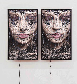 digital art, video installation,  joanna wlaszyn