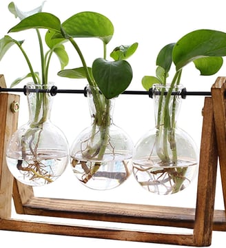 Plant Terrarium with Wooden Stand, Air Planter Bulb Glass Vase Metal Swivel Holder Retro Tabletop