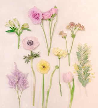 flatlay fleurs françaises d'hiver pastel jaune mauve