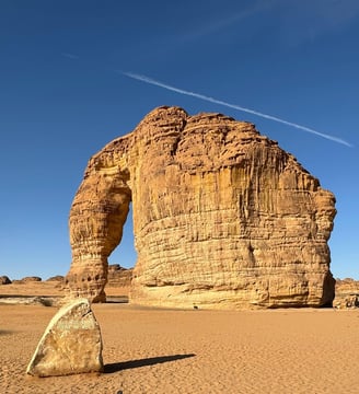 Elephant-shaped rock formation in a desert landscape.