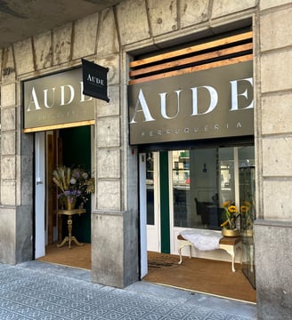 tu salud capilar en aude perruqueria es lo primero