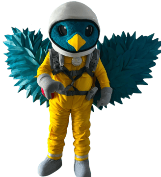 fabricacion de botargas personalizadas