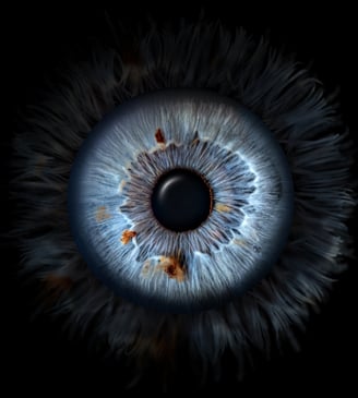 iris foto, Einzeliris, Auge, Macroaufnahme