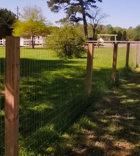 farm fence, chicken wire fence, fence, wood fence
