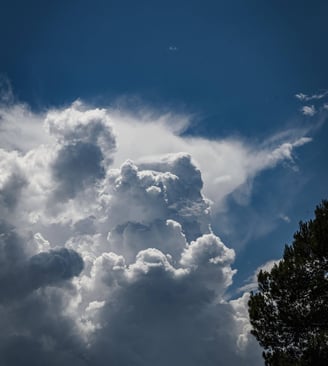 Cumulus congestus 