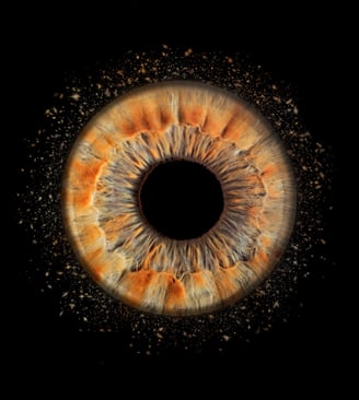 iris foto, Einzeliris, Auge, Macroaufnahme