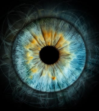 iris foto, Einzeliris, Auge, Macroaufnahme