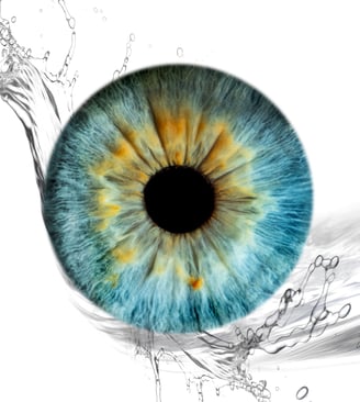 iris foto, Einzeliris, Auge, Macroaufnahme
