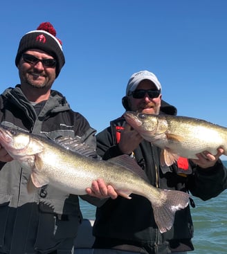 Lake Erie Walleye Fishing