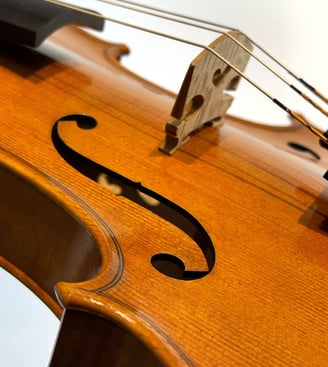 violino de luthier, matheus