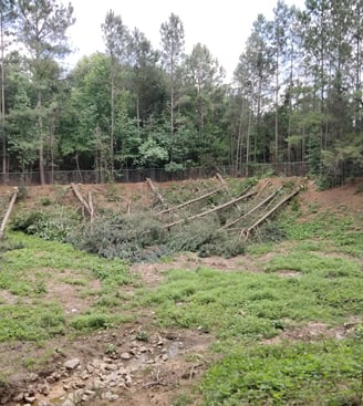 retention pond clearing by north gerogia clearing and excavation llc