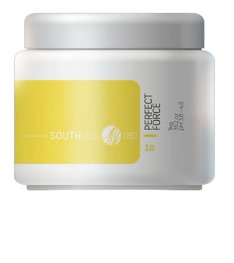 Máscara de Hidratação Profissional Perfect Force - Southliss
