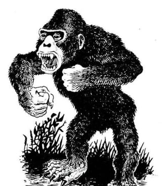 Carnivores Ape